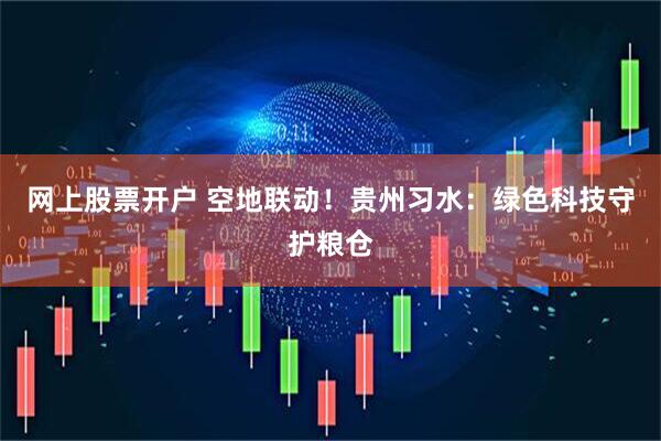 网上股票开户 空地联动！贵州习水：绿色科技守护粮仓