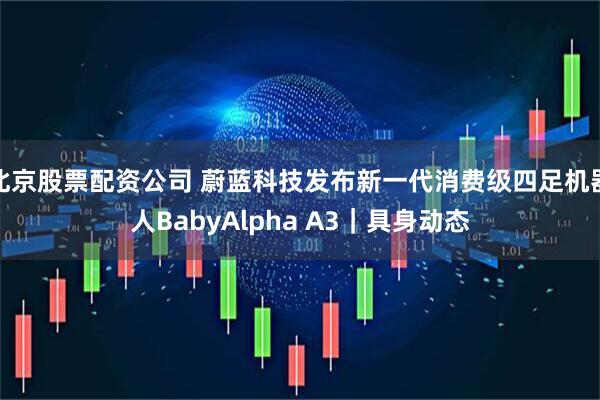 北京股票配资公司 蔚蓝科技发布新一代消费级四足机器人BabyAlpha A3｜具身动态